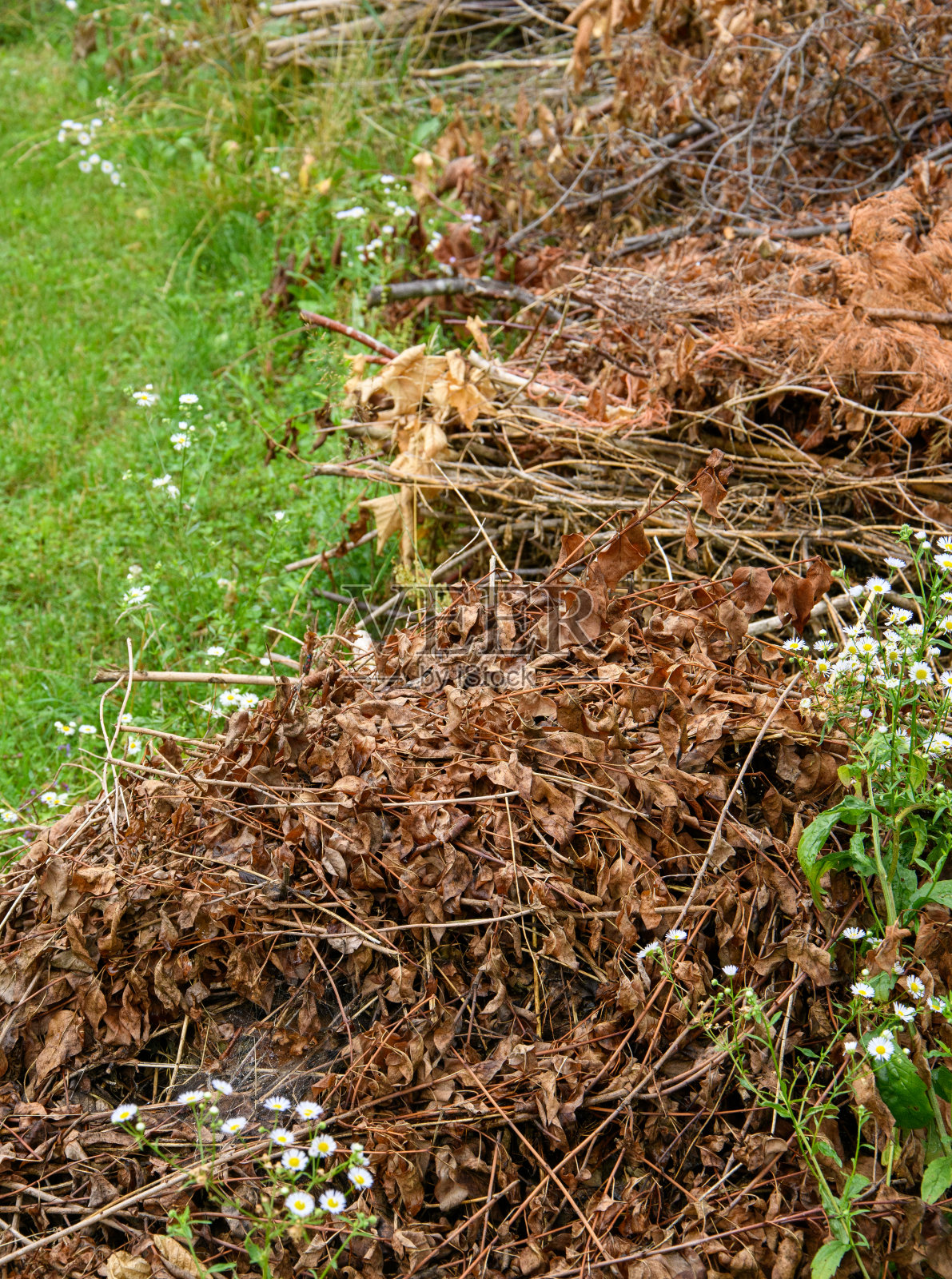 枯叶,堆,烧照片摄影图片