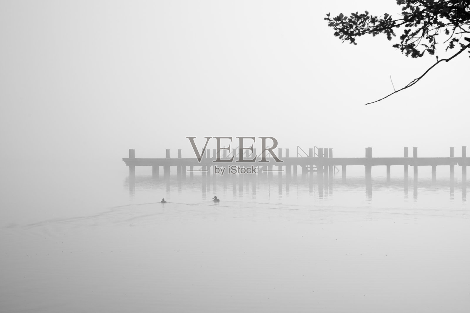 湖边有防波堤的景观。大自然,清晨有雾。照片摄影图片