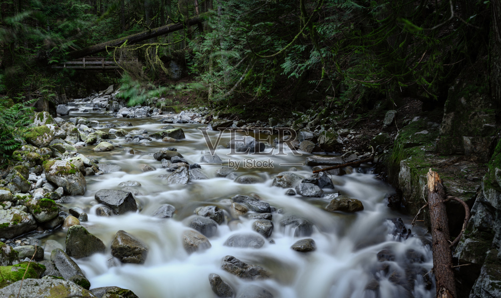 早上好,下柏树瀑布照片摄影图片
