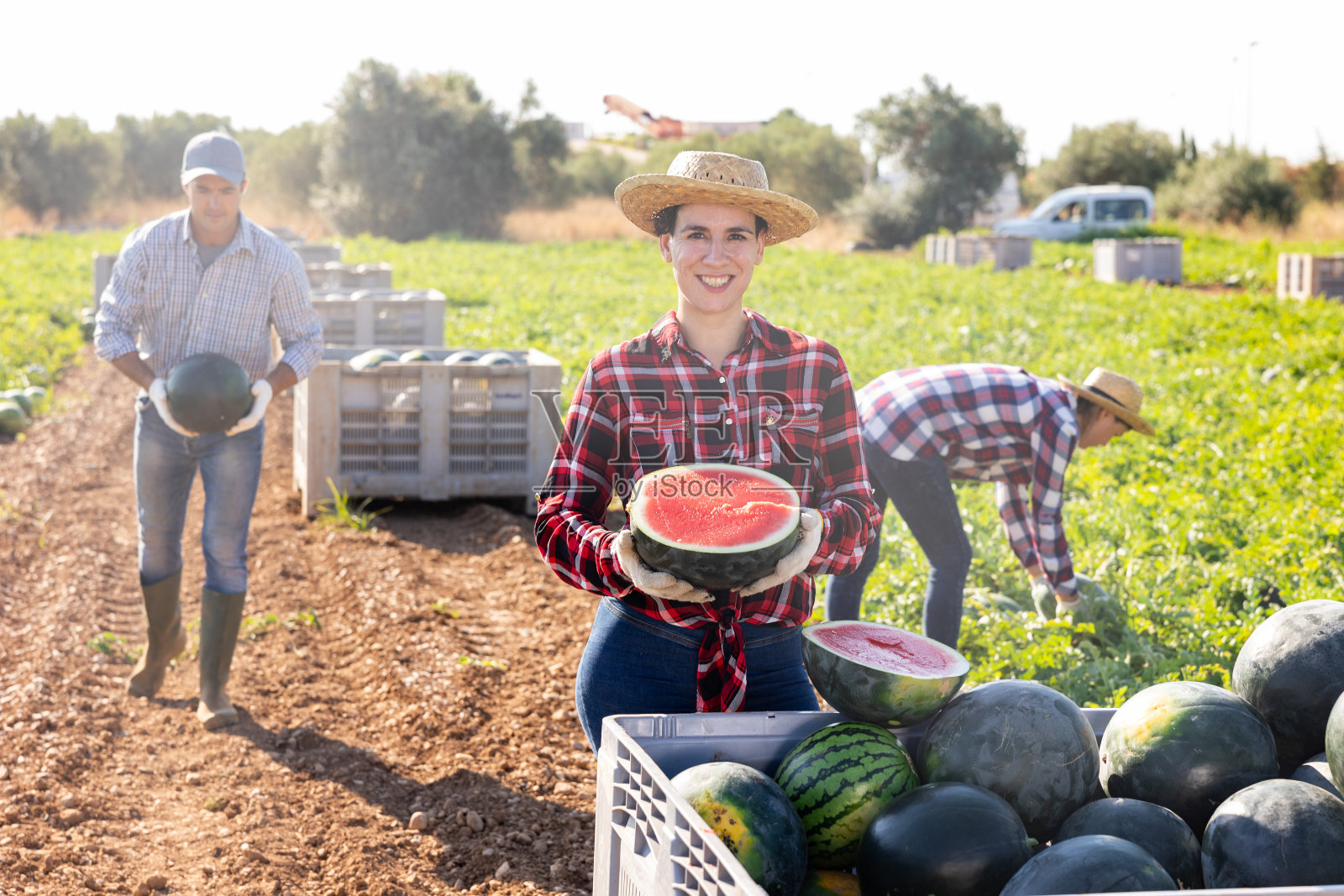 快乐的农妇手里拿着半个西瓜,在农田里摆姿势照片摄影图片