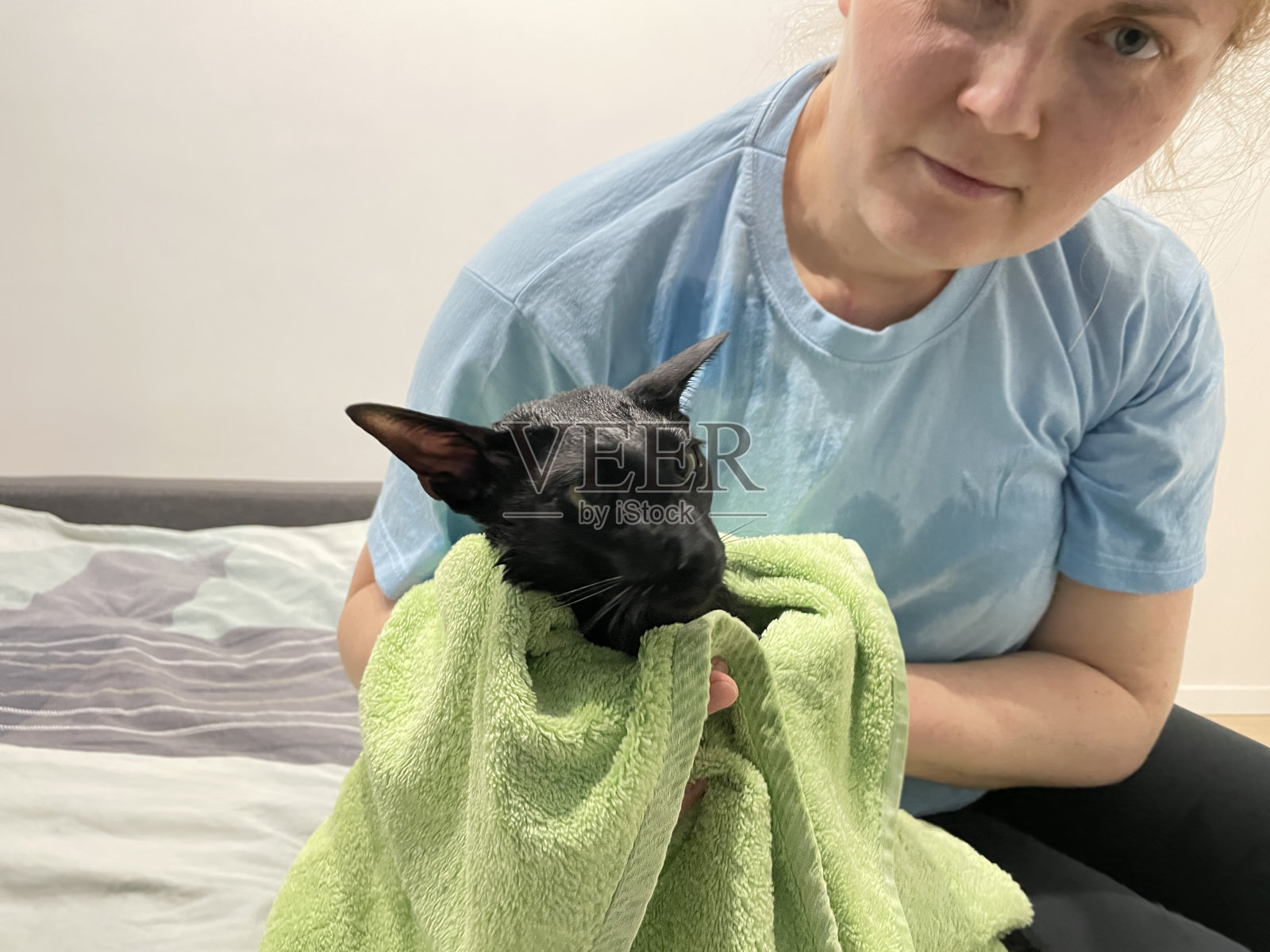 黑猫裹着毛巾和女人照片摄影图片