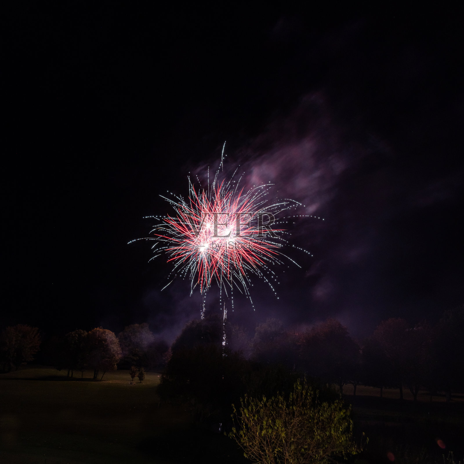 比斯特黄金水疗中心2021烟花汇演照片摄影图片