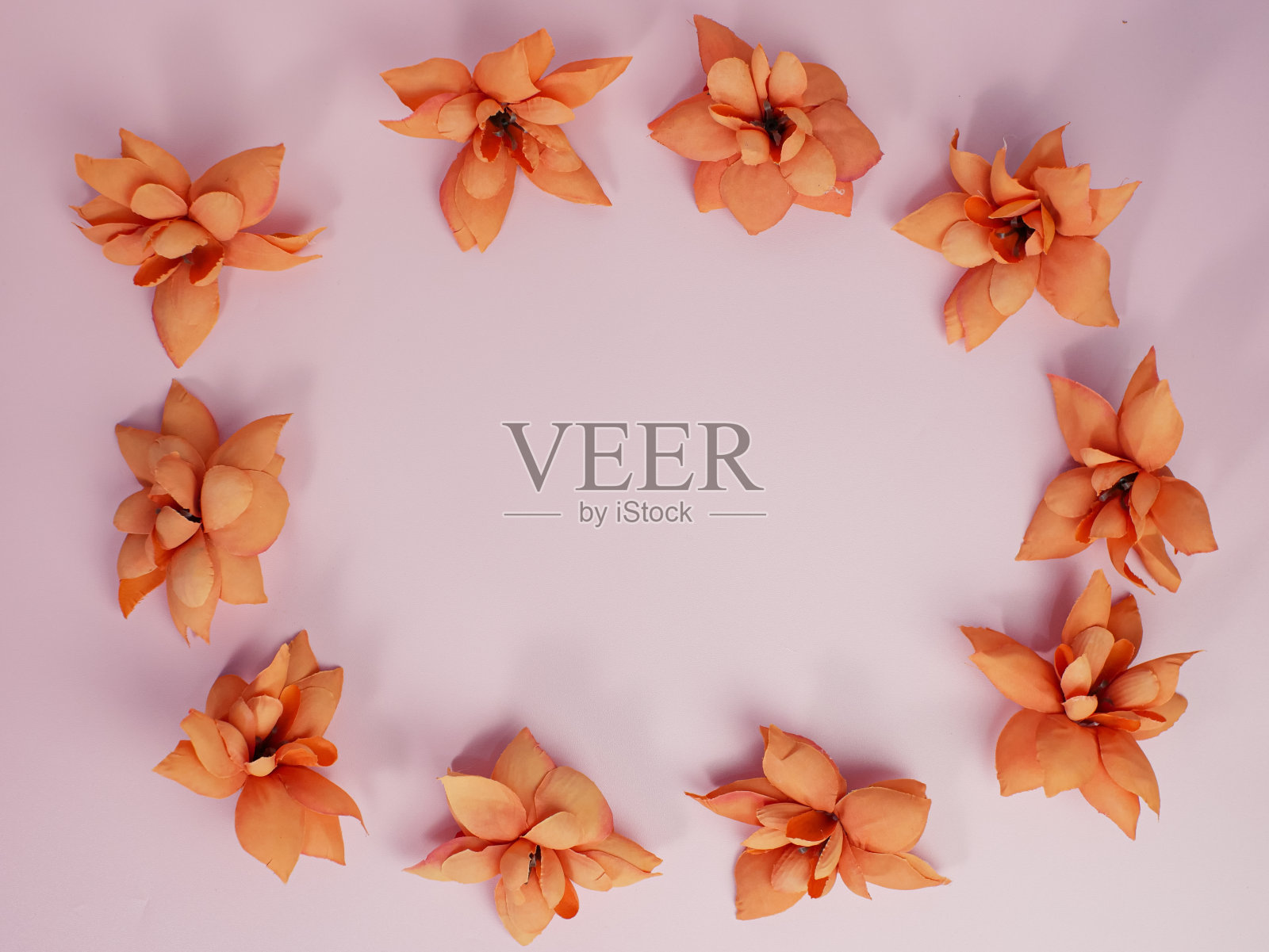 花组成。框架制成的橙色干花在柔和的粉红色背景。平铺,俯视图,复制空间照片摄影图片