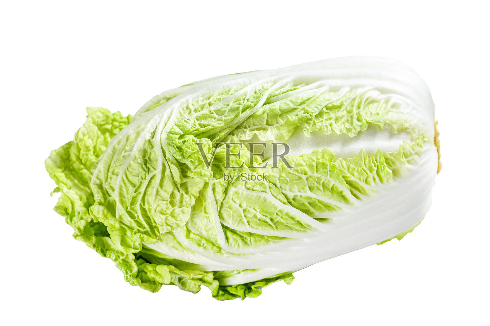 白白菜。有机蔬菜。孤立在白色背景上。照片摄影图片