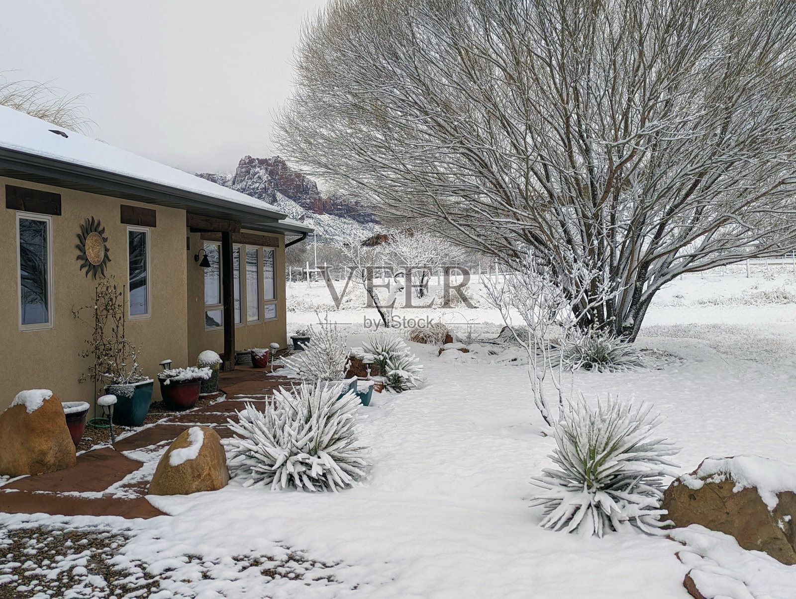 大雪过后,位于犹他州罗克维尔的格拉夫顿路上的牧场房屋,背景是锡安国家公园照片摄影图片