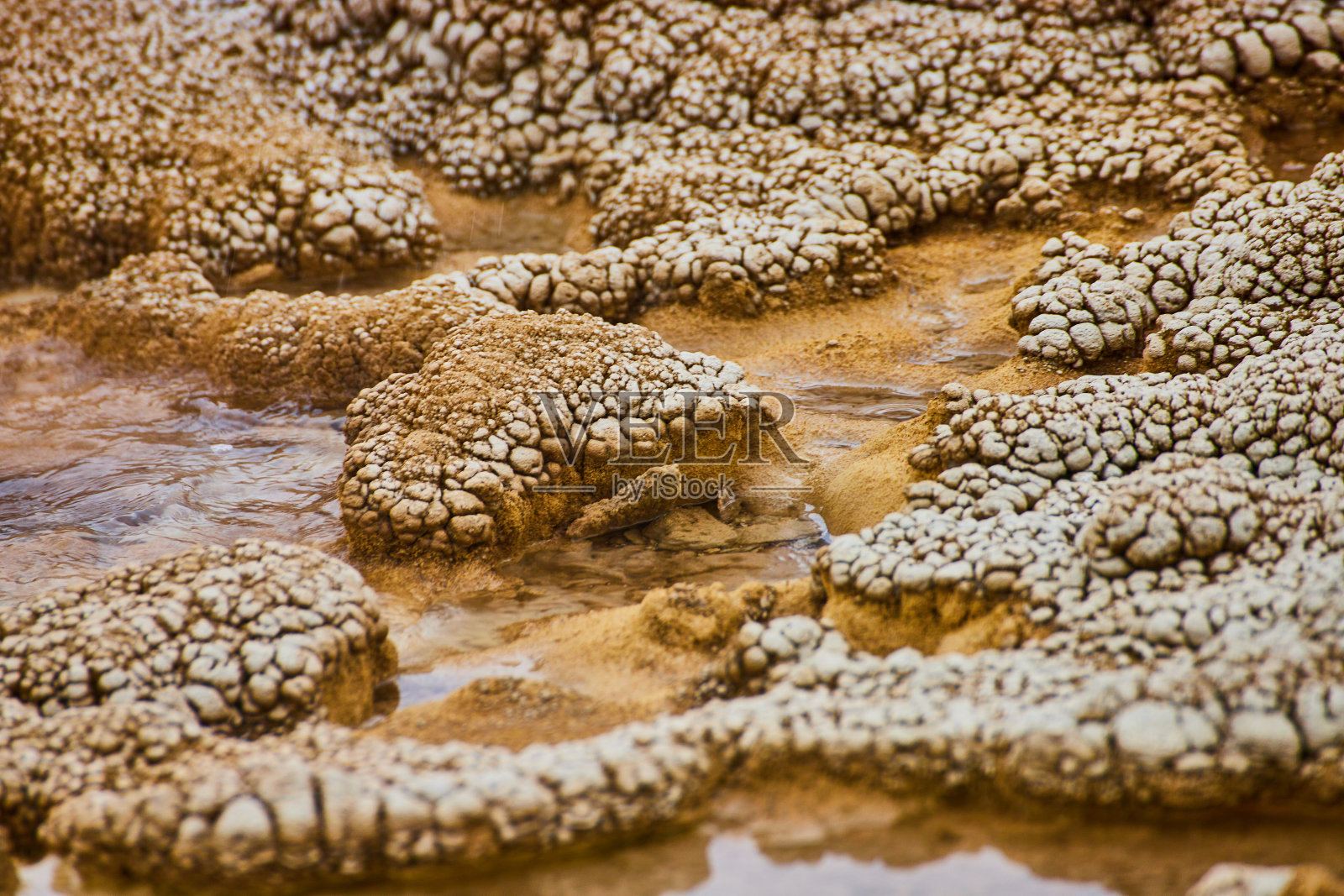 黄石公园碱性构造的详细资料照片摄影图片