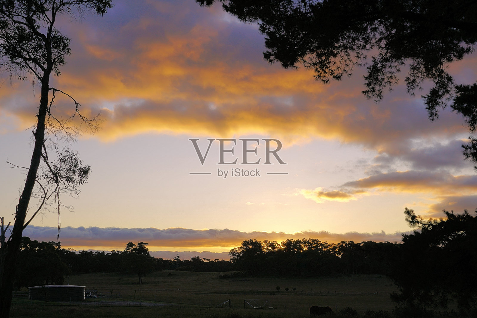 拉拉拉拉,澳大利亚维多利亚照片摄影图片