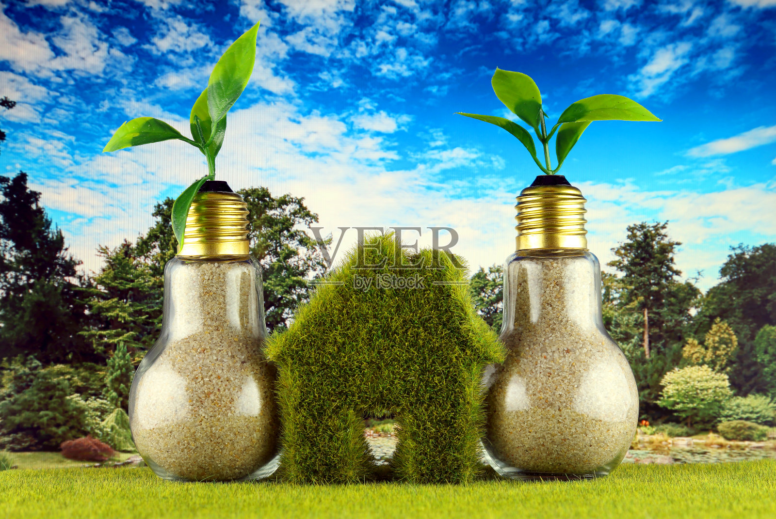 植物生长在绿色灯泡和绿色生态房子图标上的草地和蓝色的天空为背景。可再生能源概念。电价降,节能在户。照片摄影图片