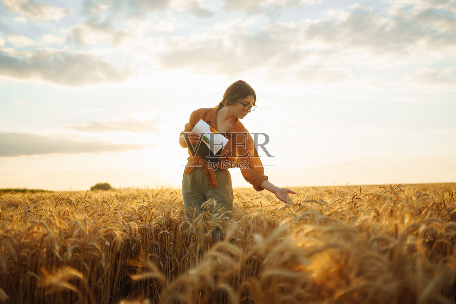 麦田里,农场主手里拿着药片照片摄影图片
