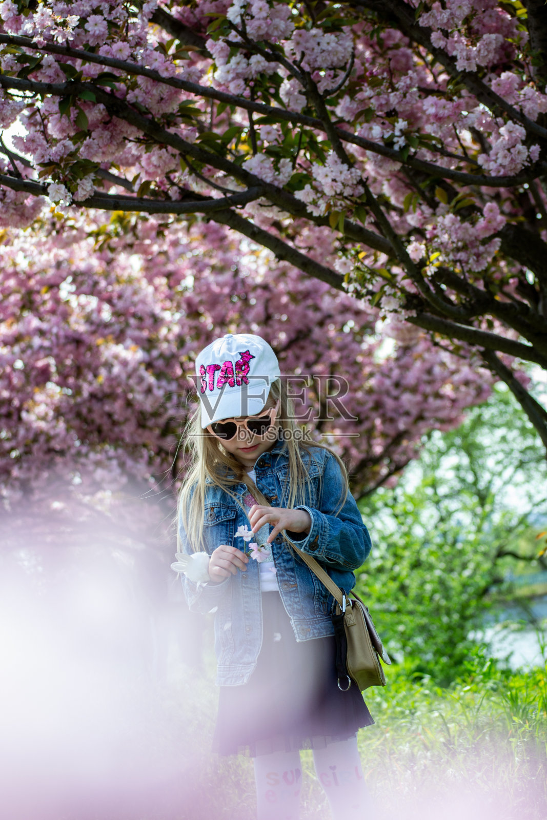 一个女孩在樱花公园里照片摄影图片