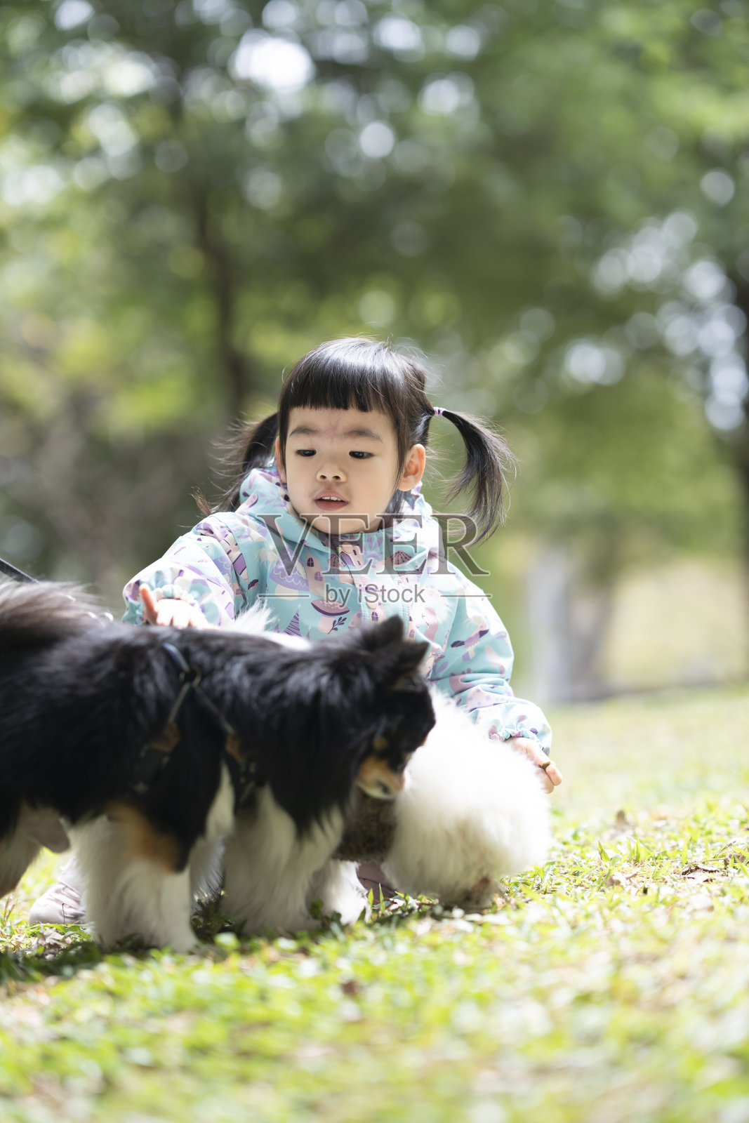 可爱的亚洲小女孩,儿童肖像照片,在公园里快乐地玩耍照片摄影图片