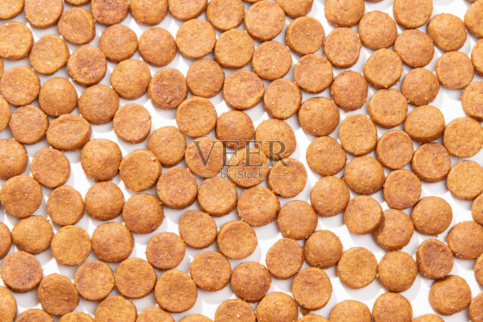 圆形,训练饼干的宠物在白色背景。照片摄影图片