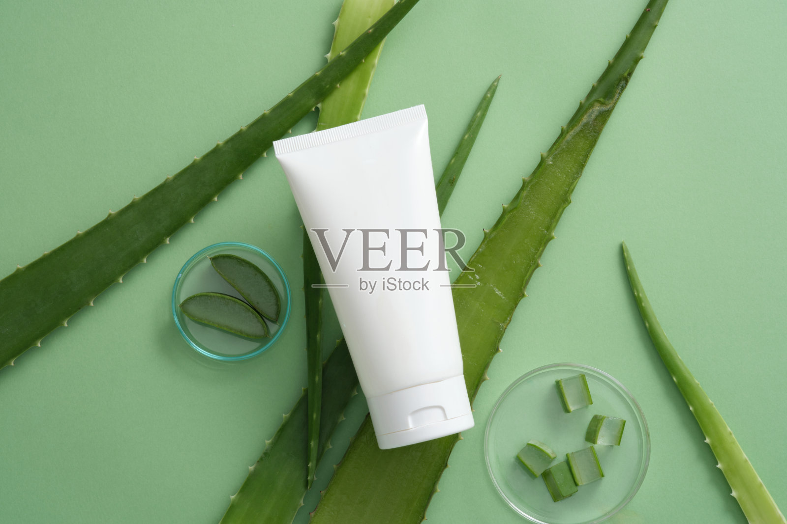 芦荟概念照片摄影图片