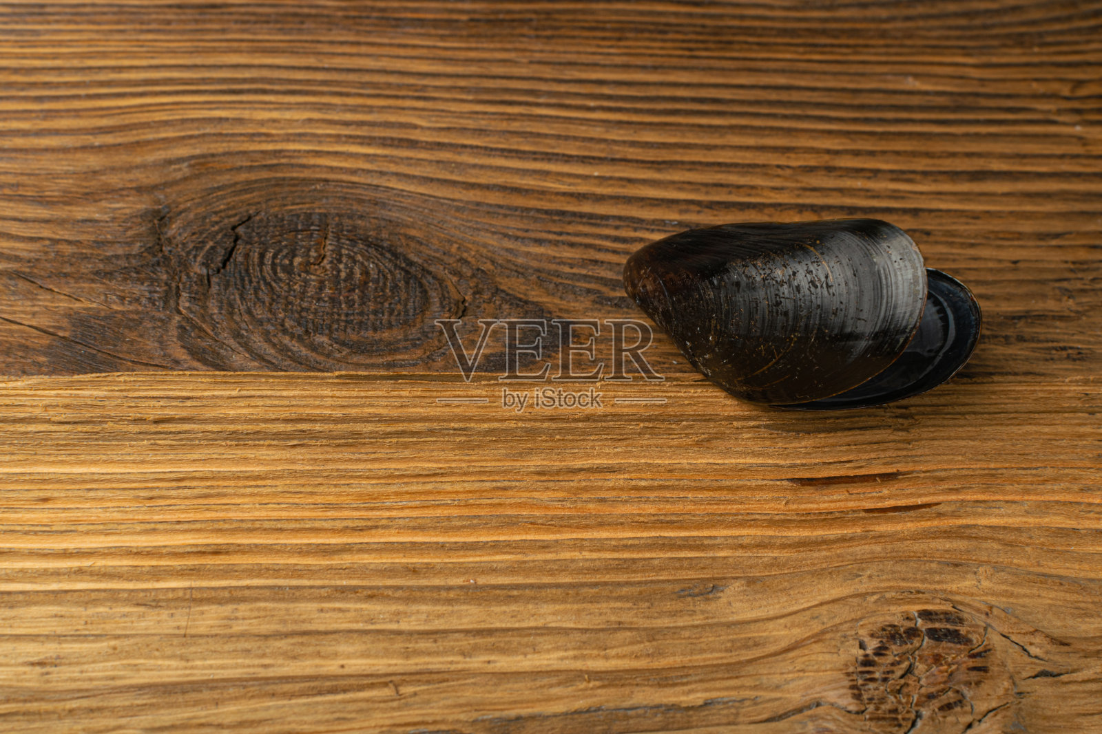 空贻贝壳,黑蛤壳,食用软体动物,贝类,木贻贝背景俯视图照片摄影图片