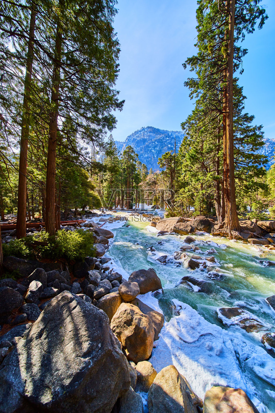 优胜美地的松树林,群山和令人惊叹的结霜河流照片摄影图片