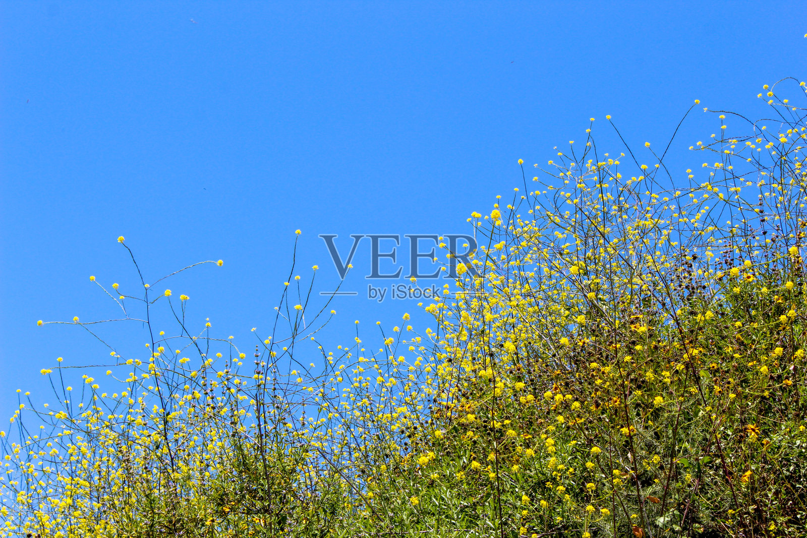 触摸天空照片摄影图片