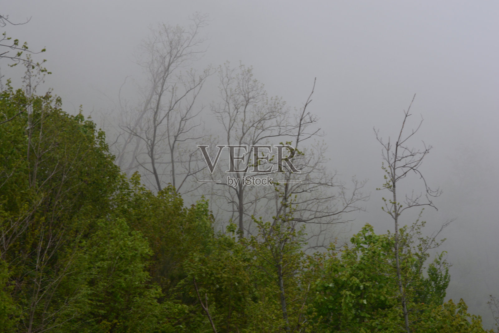 意大利南部Giffoni Valle Piana的山景与雾。照片摄影图片