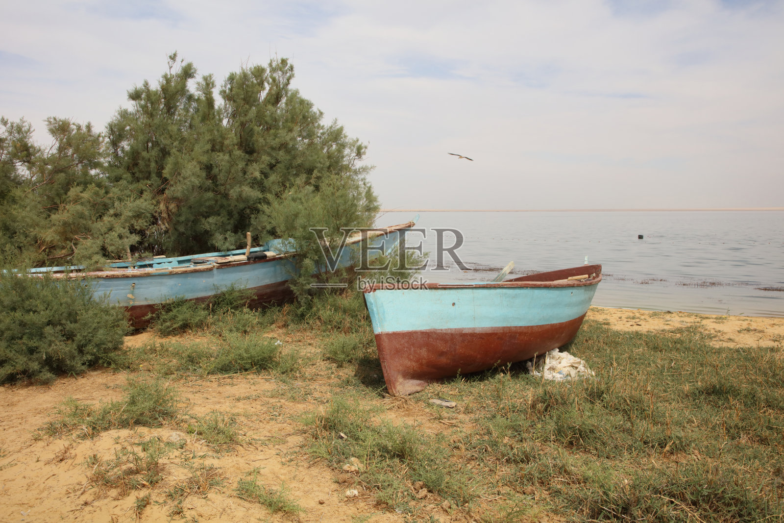 草地、小船、岸边和沙滩照片摄影图片