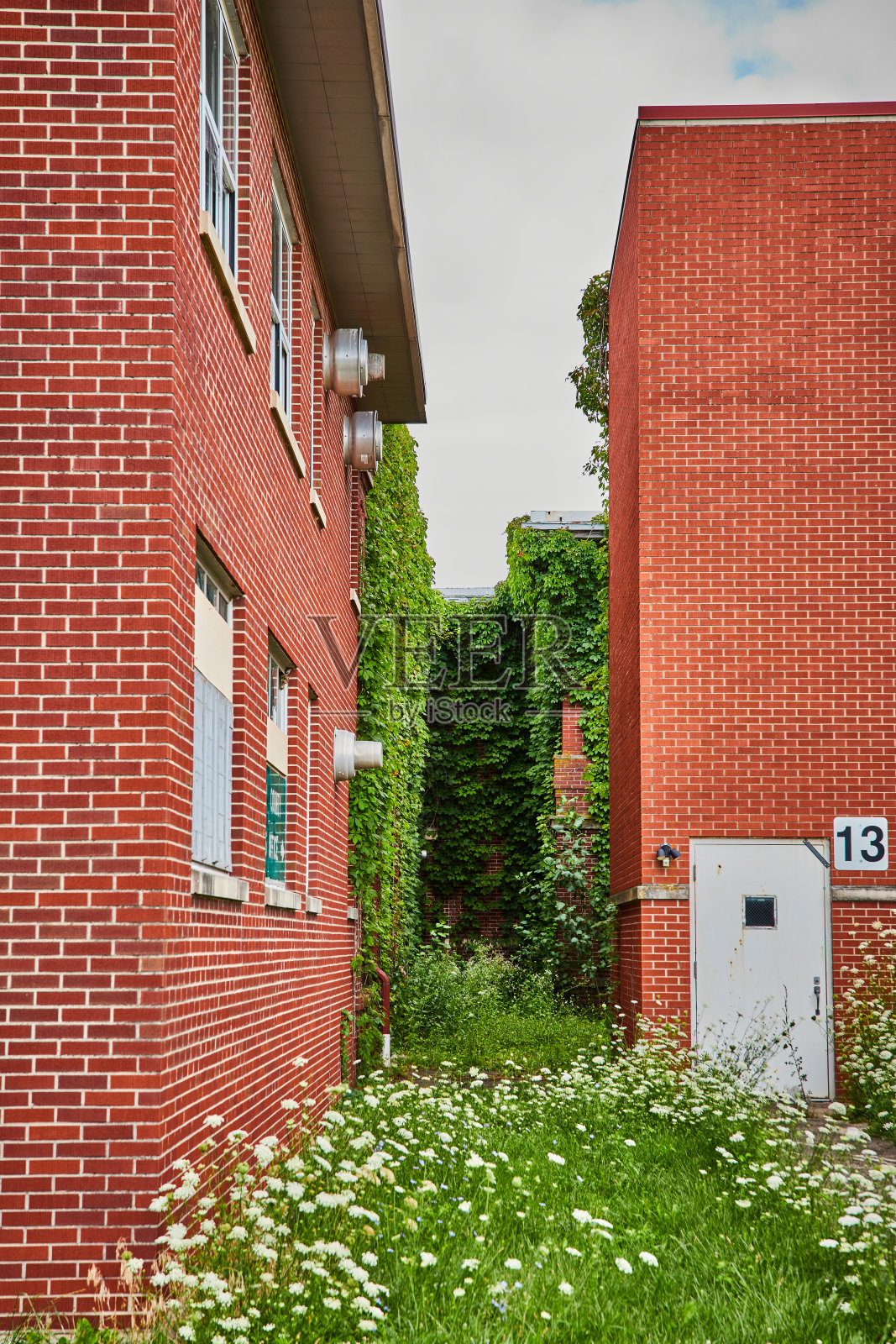 长满藤蔓的砖砌小巷照片摄影图片