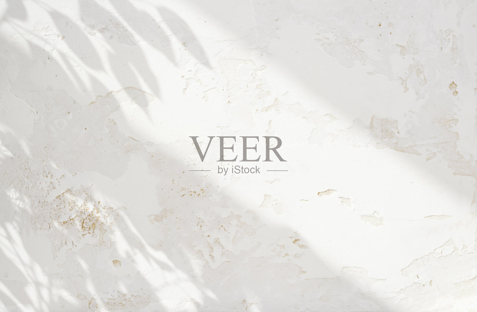 粗糙的墙面纹理上树叶和窗户的灰色阴影照片摄影图片