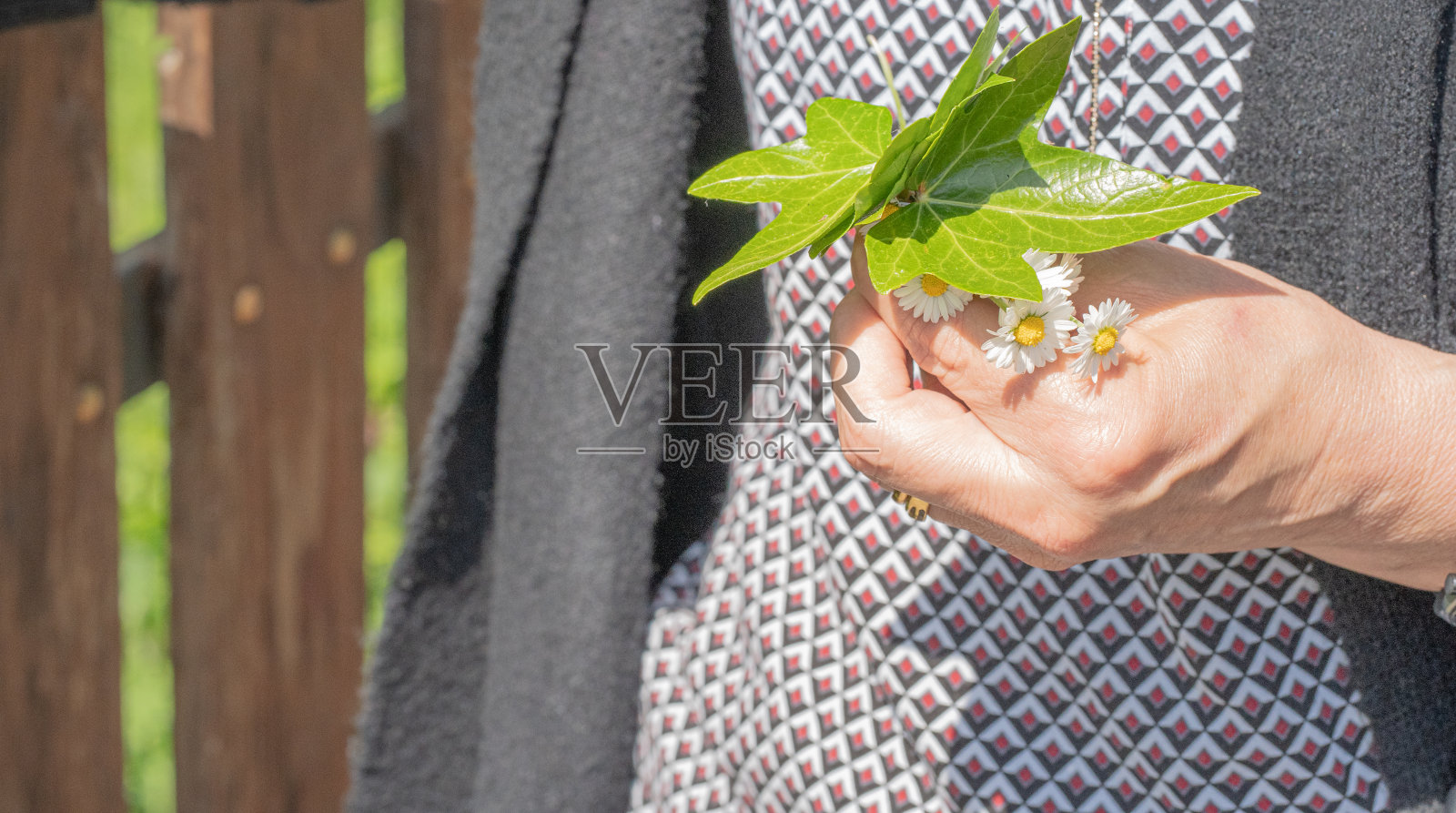 空闲时间照片摄影图片