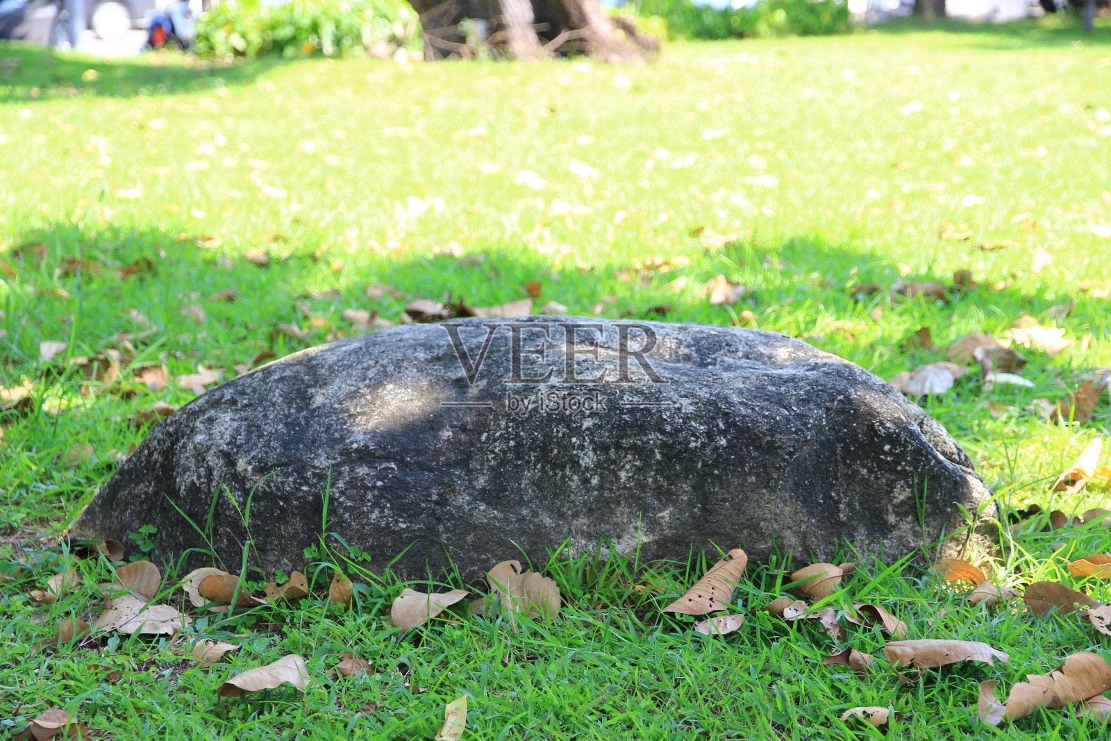 公园里的大型装饰石显得又美又自然。照片摄影图片