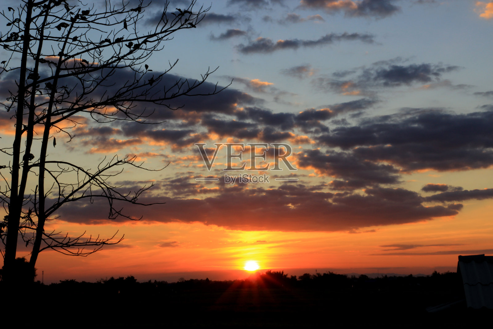 树的剪影日落在山上的树木在炎热的夏夜美丽的日落背景。照片摄影图片