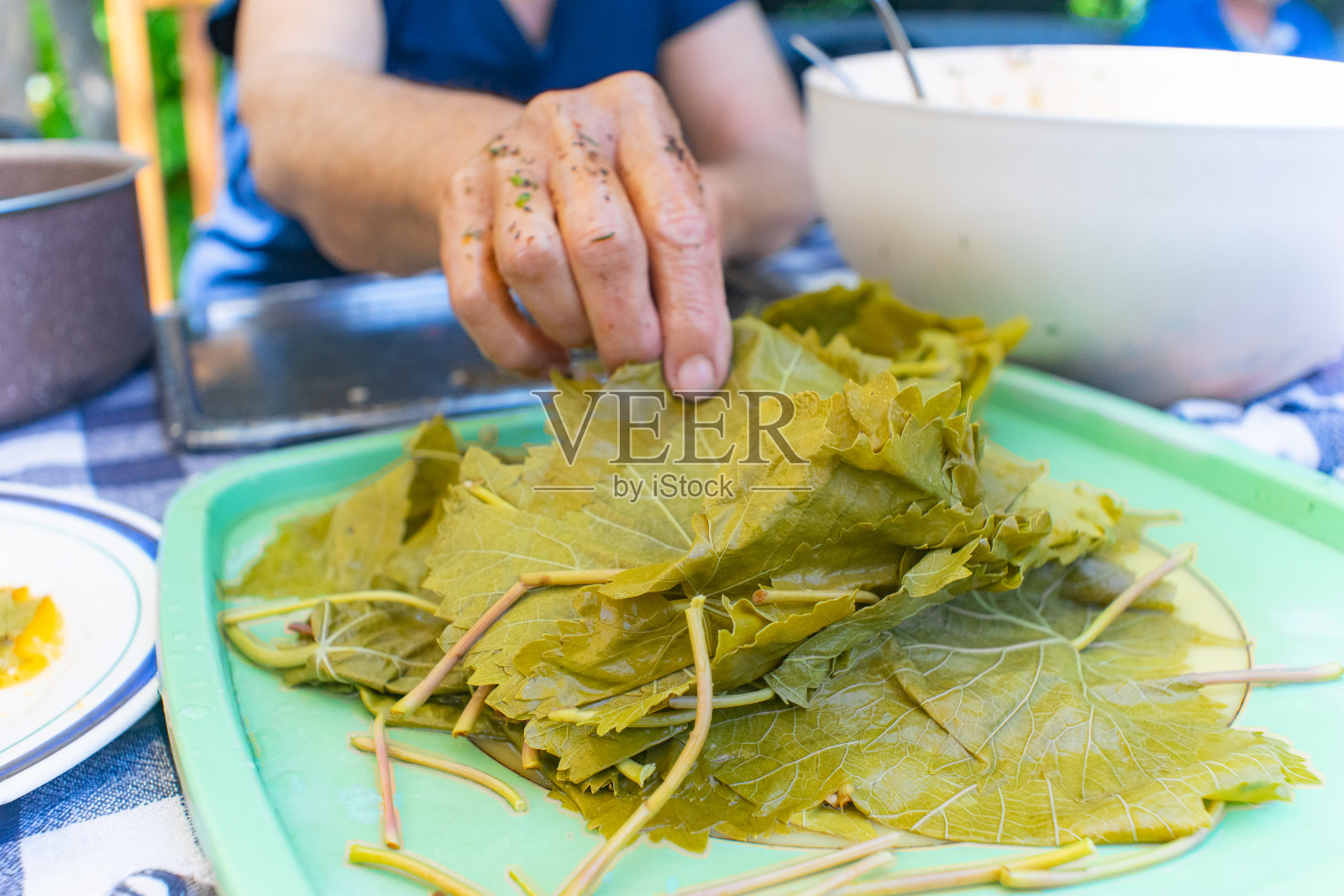 土耳其酿葡萄叶照片摄影图片