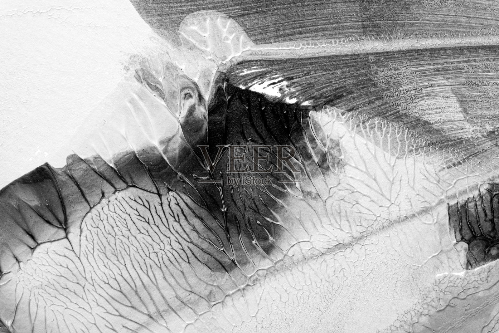 用罗夏墨迹法在白纸背景上画黑白抽象丙烯色纹理照片摄影图片