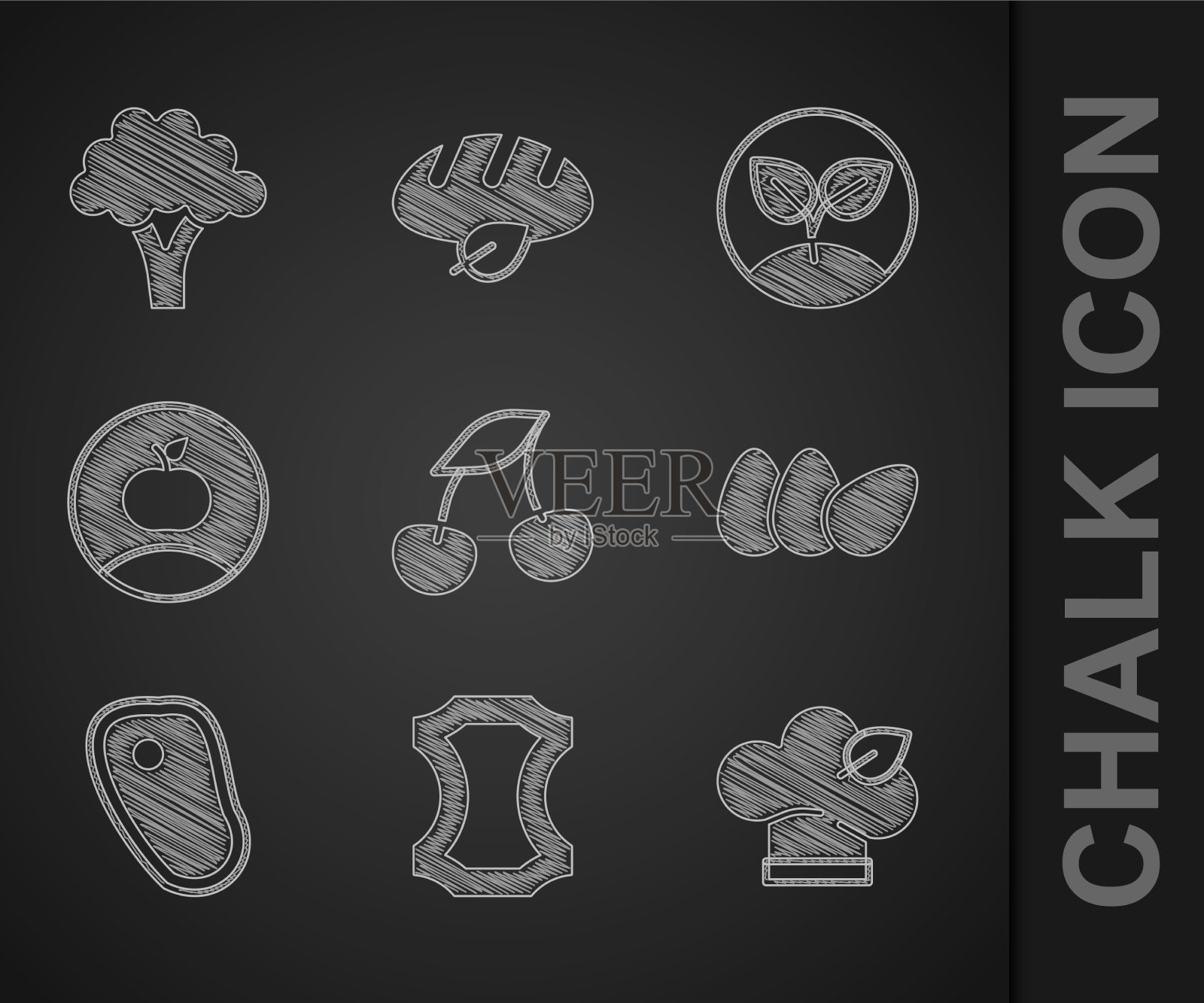 设置新鲜浆果皮素食饮食图标素材