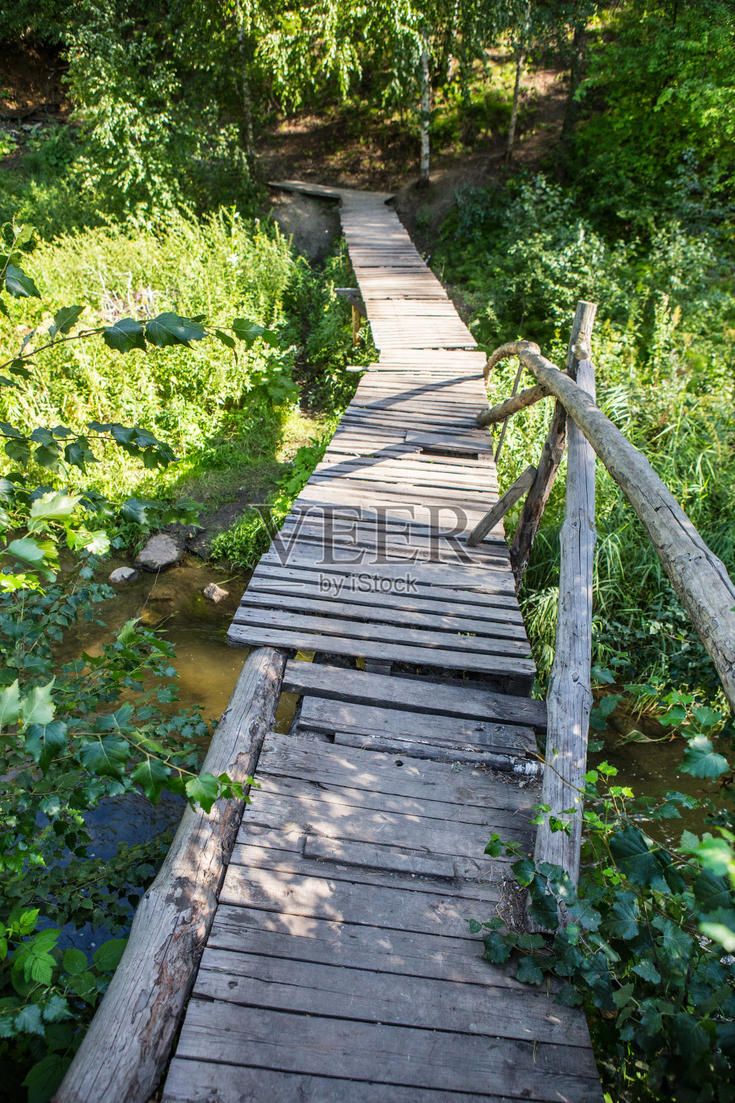 森林里河上的木桥照片摄影图片