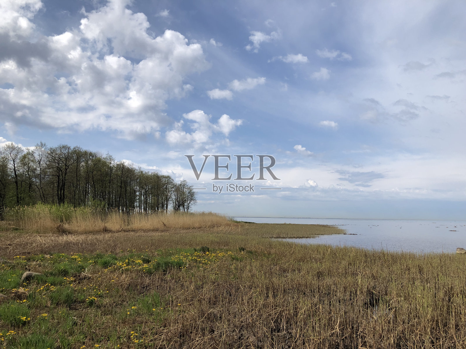 春景如画,湖畔鲜花盛开照片摄影图片