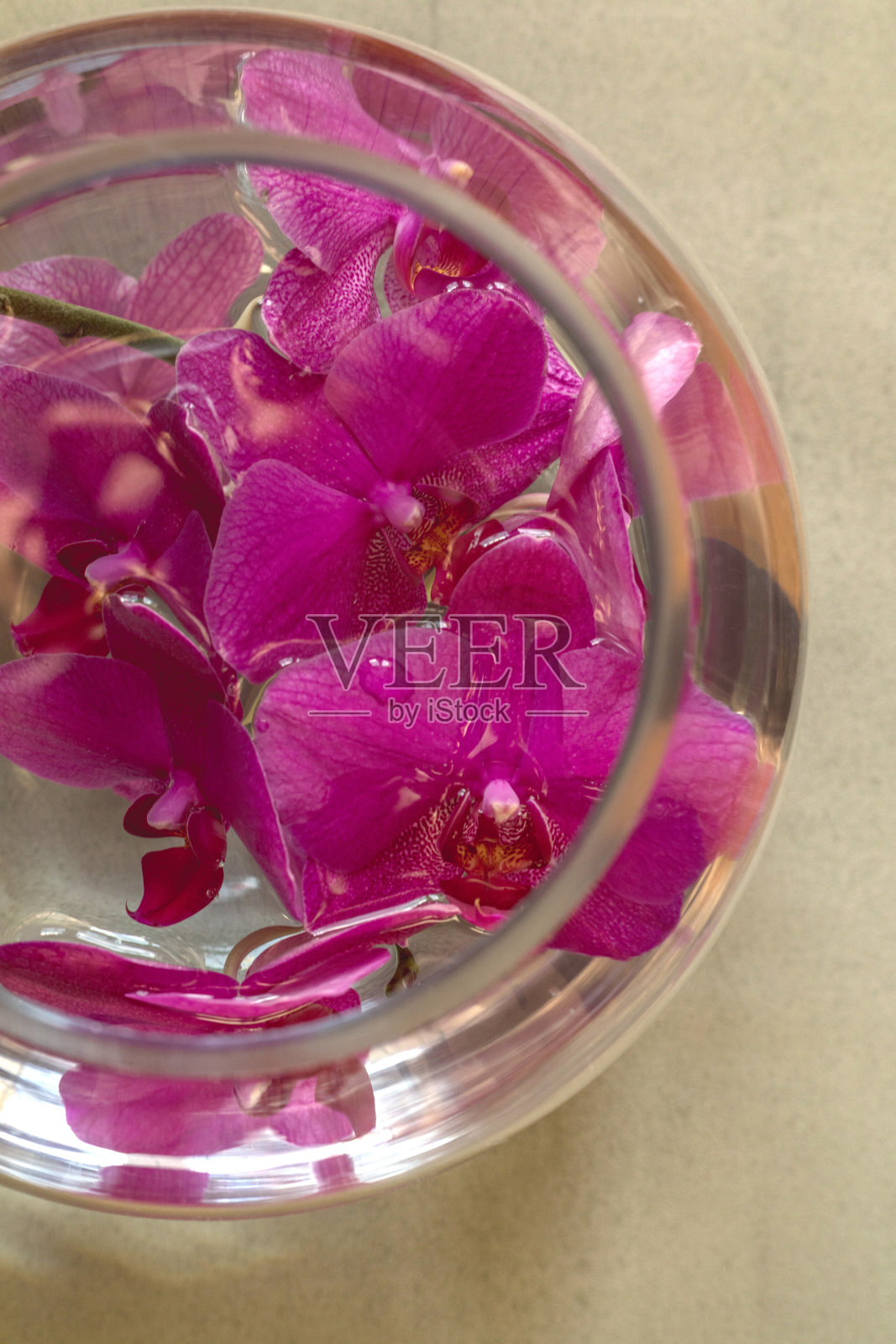 兰花花瓣在装满水的玻璃碗里照片摄影图片