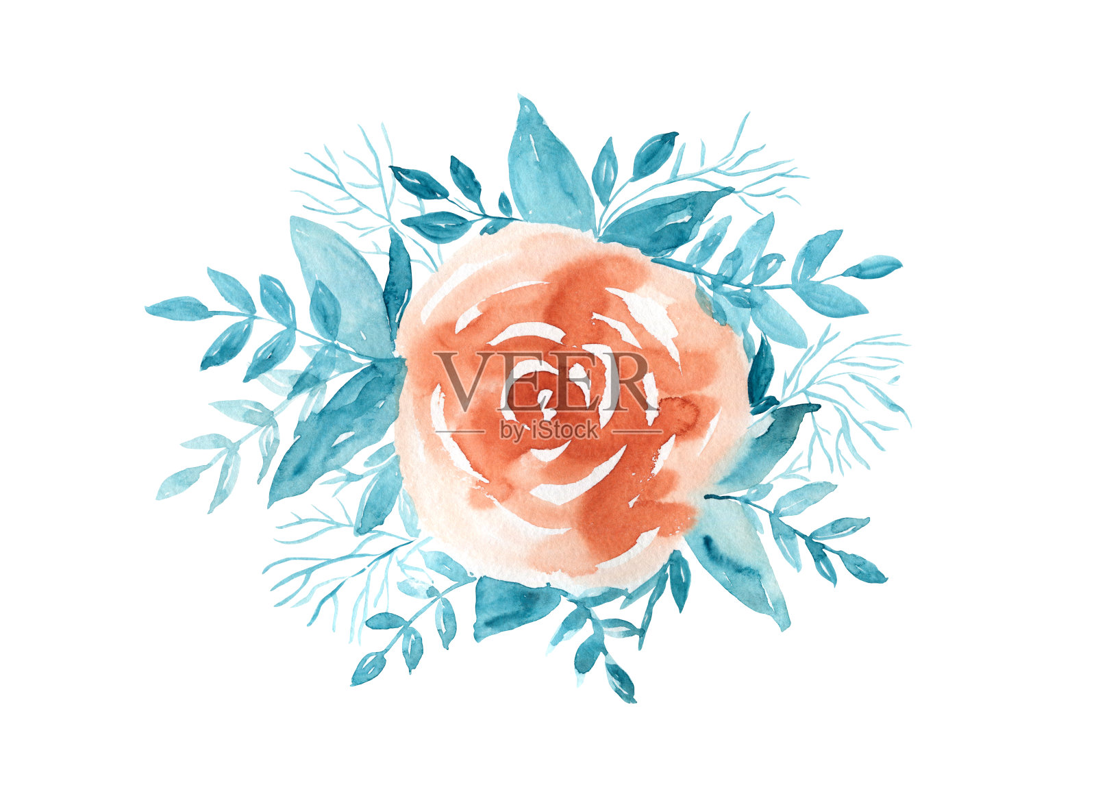 嫩水彩橙玫瑰与蓝色的叶子插画图片素材