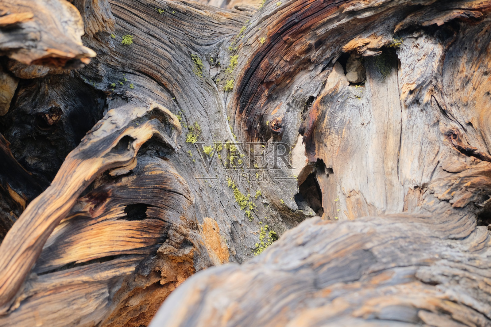 太浩湖地区照片摄影图片