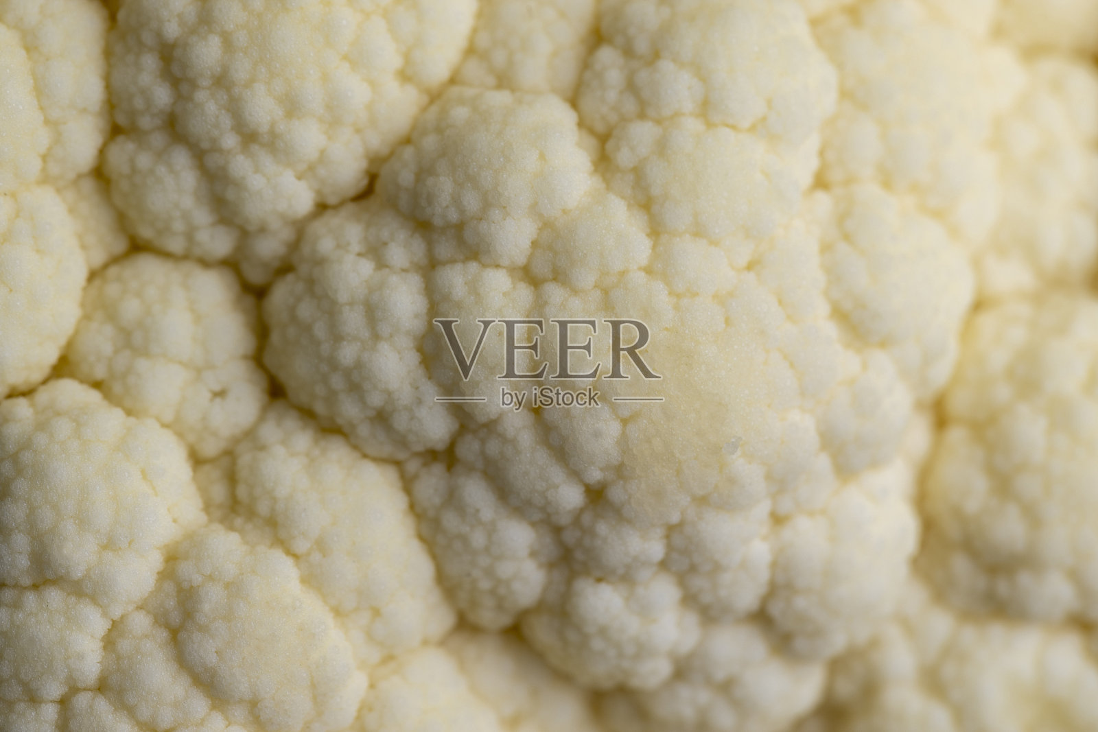 餐桌上白色花椰菜的细节照片摄影图片