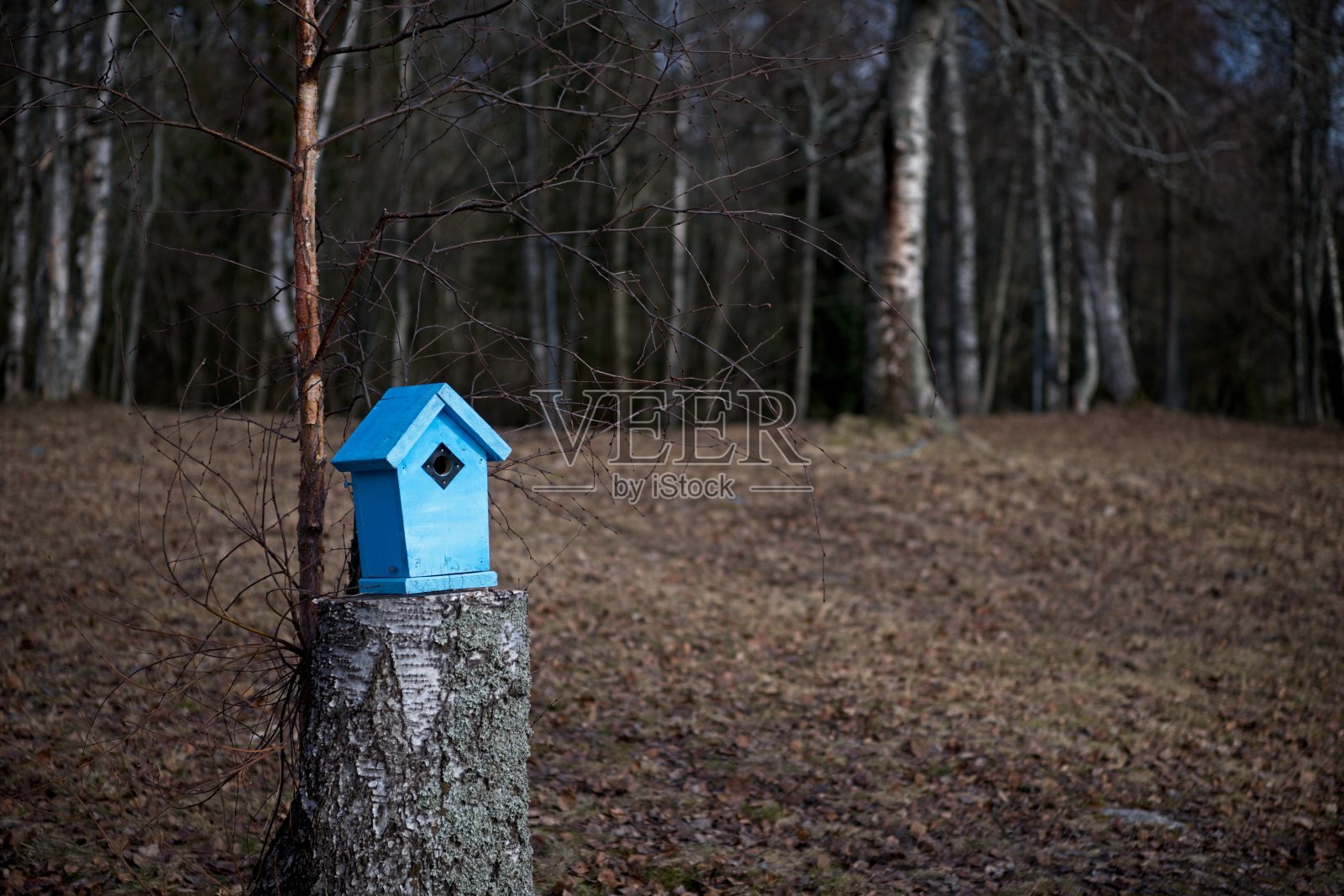 禽舍照片摄影图片