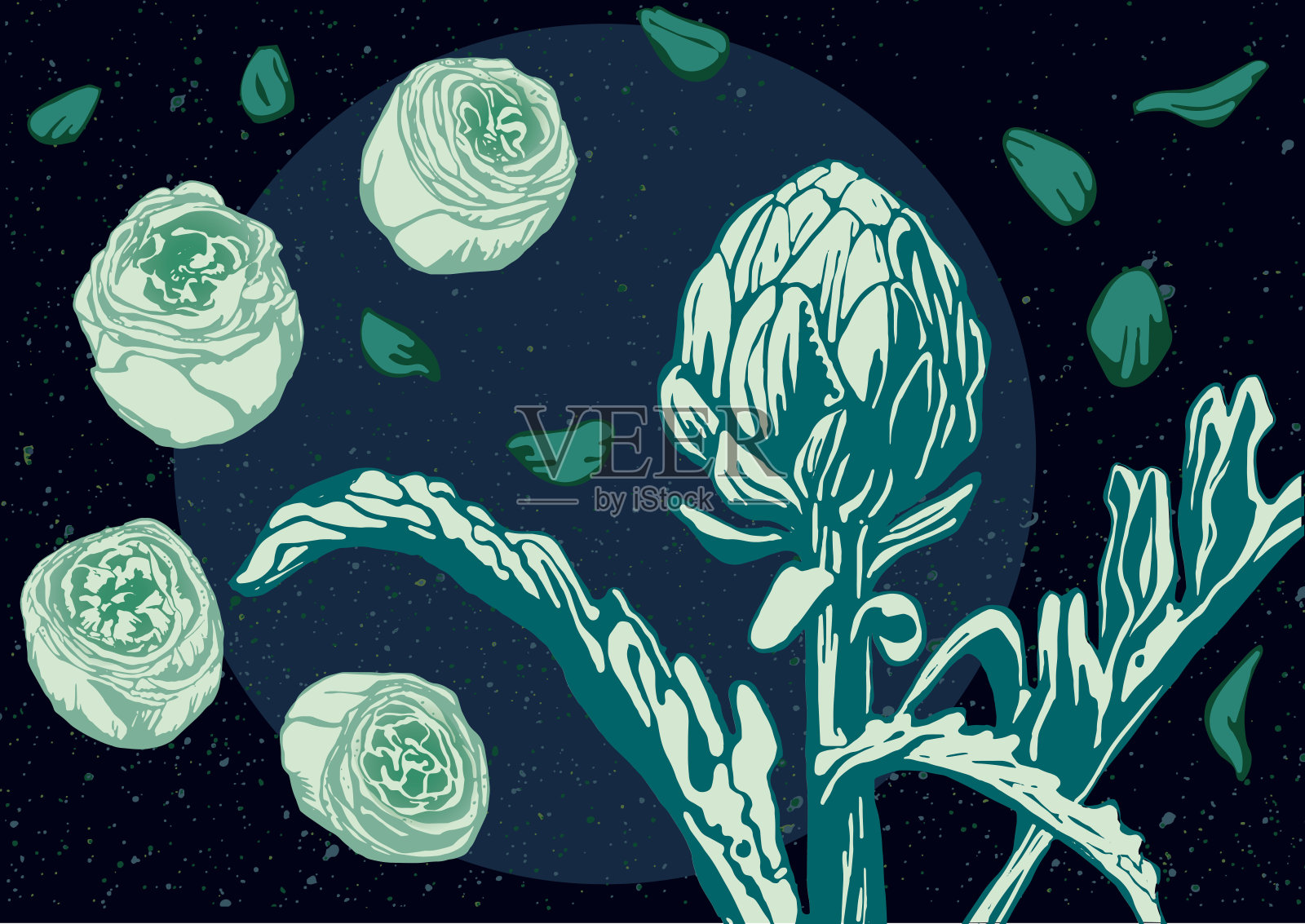 洋蓟3插画图片素材