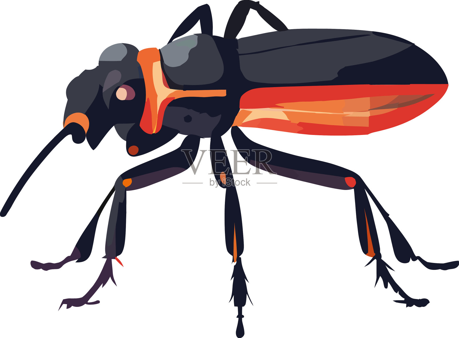 小圣甲虫设计元素图片