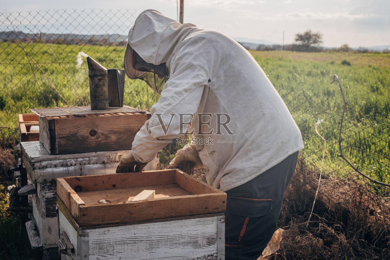 养蜂场里穿着工作服的养蜂人照片摄影图片