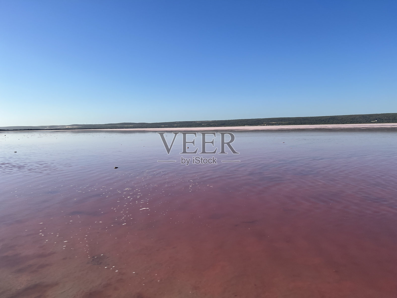 粉红色的湖照片摄影图片