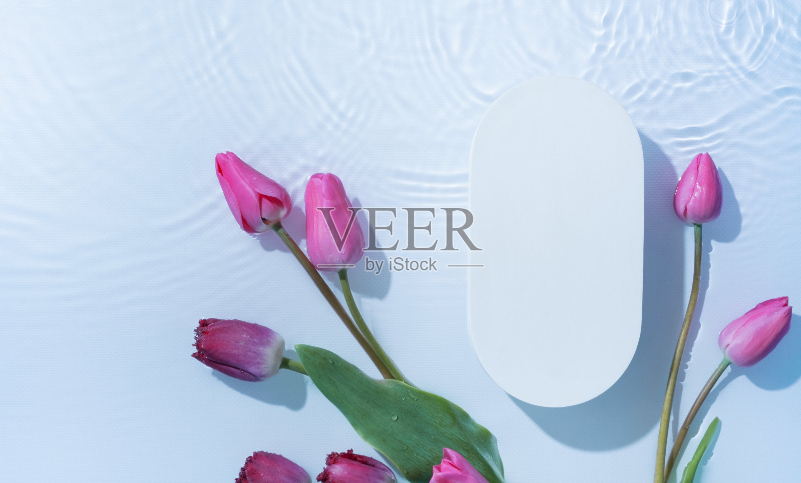 讲台或基座与水波纹和郁金香平躺,俯视图。化妆模板,复制空间照片摄影图片