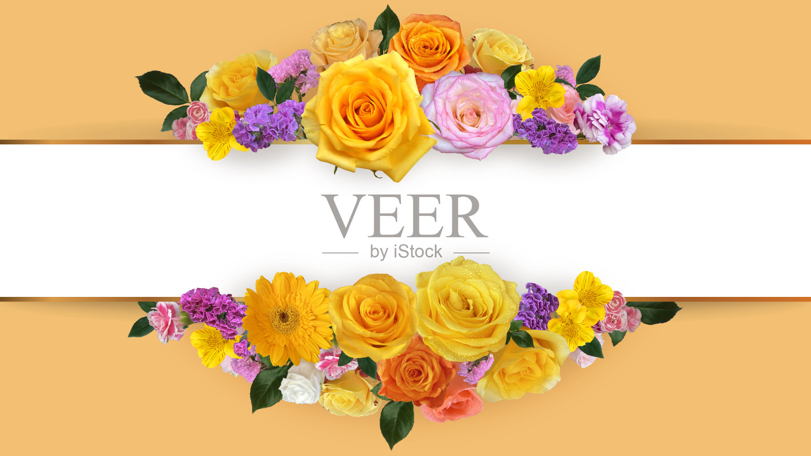 黄玫瑰边框。照片摄影图片