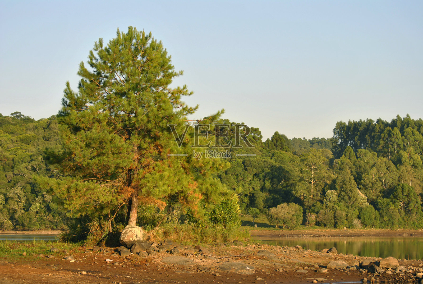 农村景观照片摄影图片