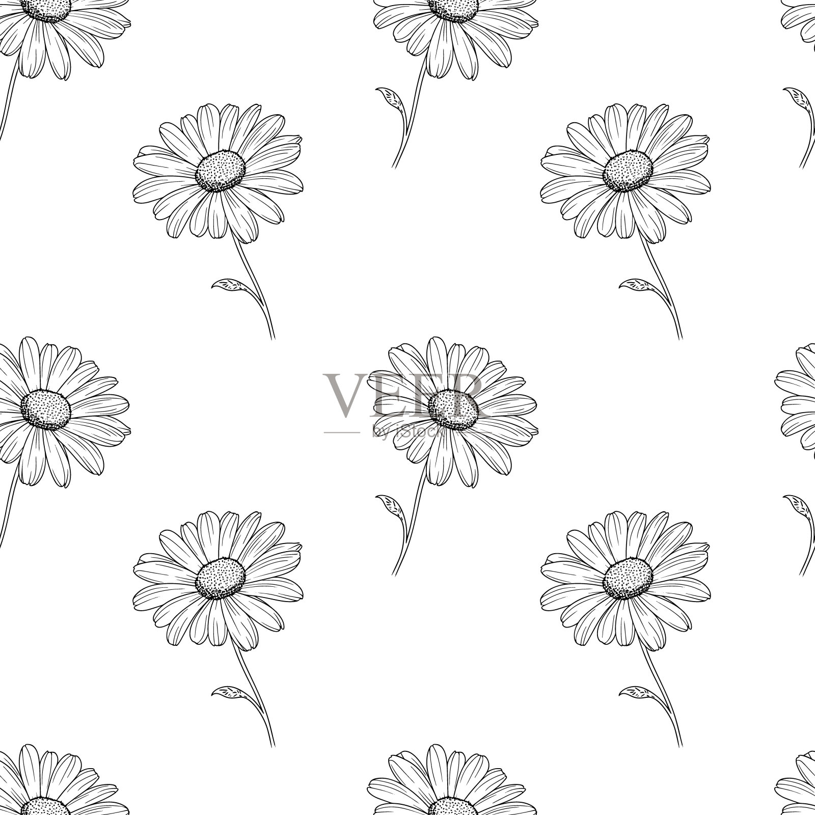雏菊花线艺术无缝图案。黑色轮廓矢量植物艺术。现代花卉背景。插画图片素材