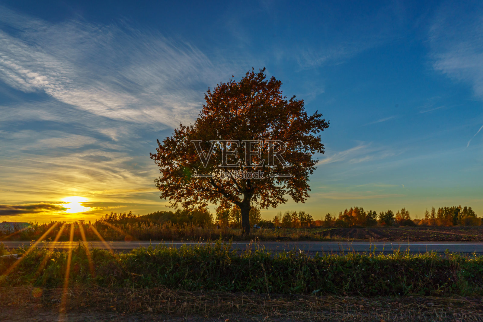 日落时的秋景。金色的日落和美丽的天空。照片摄影图片