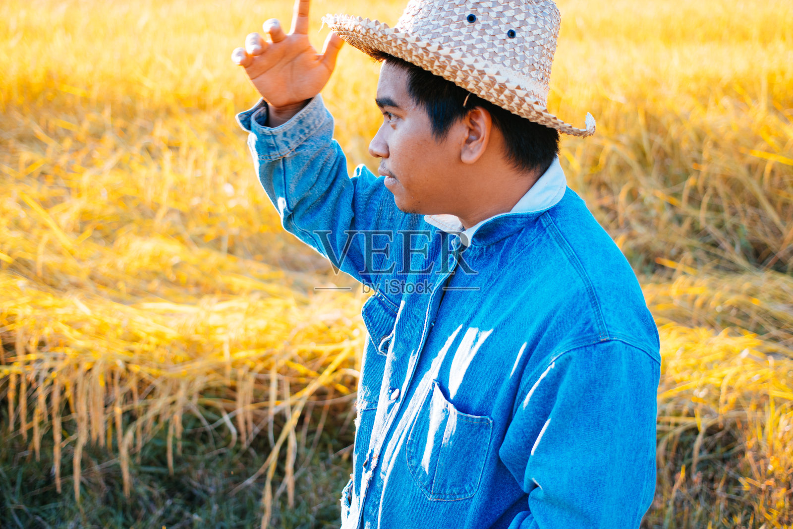 布朗的农民照片摄影图片