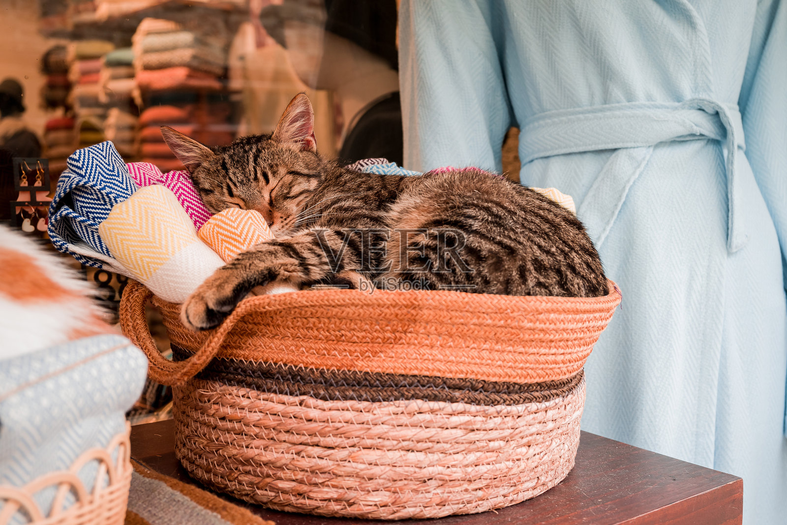 一只土耳其猫坐在土耳其的商店里照片摄影图片