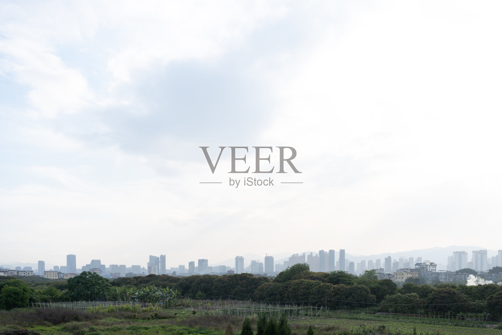 河边的树木和远处的城市照片摄影图片