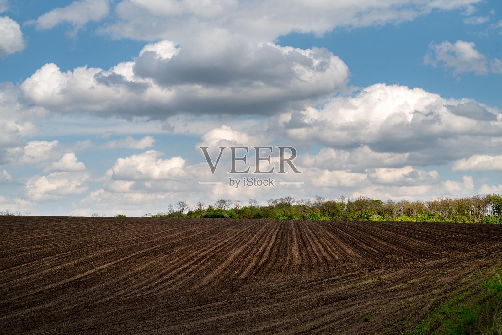 犁地有线,天空有云,耕地有黑,农业有美照片摄影图片